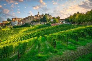 Piémont - Italie - Vue du vignoble